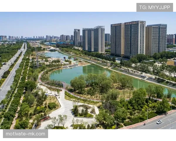 中国队擘画未来新蓝图，昂首迈向国际竞技新舞台