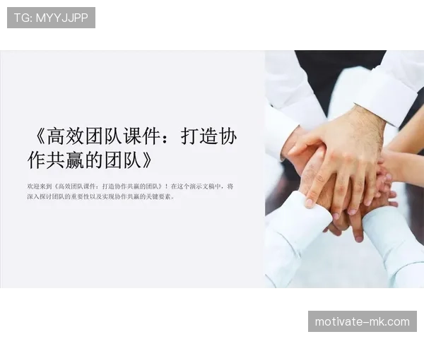 Son的职业精神与自律之道在高效团队构建中的重要性分析