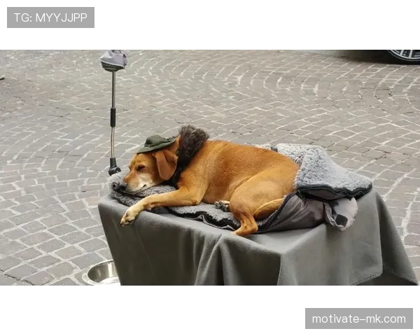 韦斯特布鲁克赛场上炸裂,私下却能一身潮牌堆成山,普通人得服! 韦斯特布鲁克赛场上炸裂,私下却能一身潮牌堆成山,普通人得服!